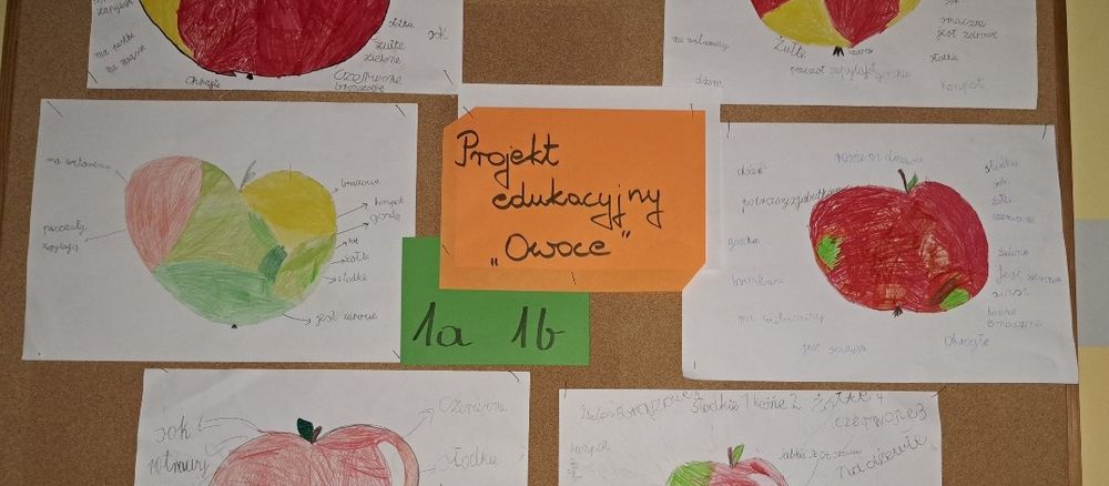 Projekt Owoce